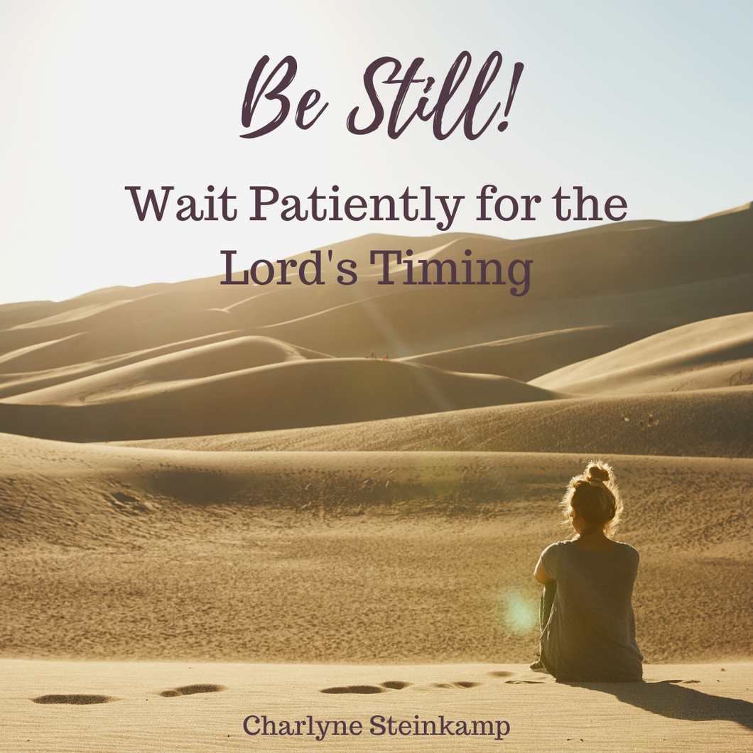 BE STILL! WAIT PATIENTLY FOR THE LORD'S TIMING!